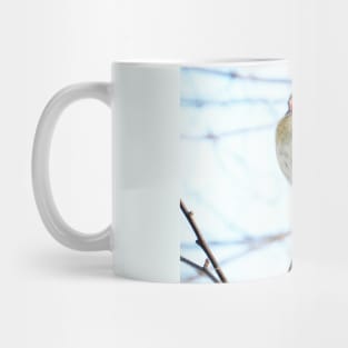 Cardinal No.5 Mug